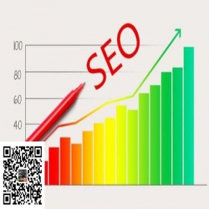 单页SEO技术，用了不同的网站做出的效果技术分享