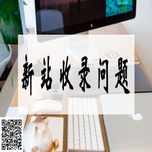 新建网站搜索引擎不收录怎么办,新站上线一个月不收录，该怎么解决