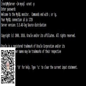 MySQL数据库InnoDB转换为MyISAM图文教程