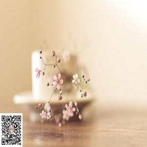 eyoucms会员等级增加图标的方法【技巧教程】