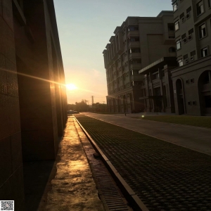 易优cms一些隐藏的标签，官方标签没有的【eyoucms教程】