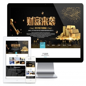 易优响应式金融理财管理公司网站模板【编号5137】