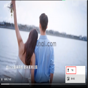 易优大部分浏览器隐藏video视频播放器下载按钮功能