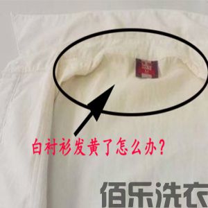 看过这篇文章，你的白衬衫再也不会发黄了