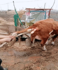 搞笑GIF：老师5秒之内到达现场，请做好准备!(图4)