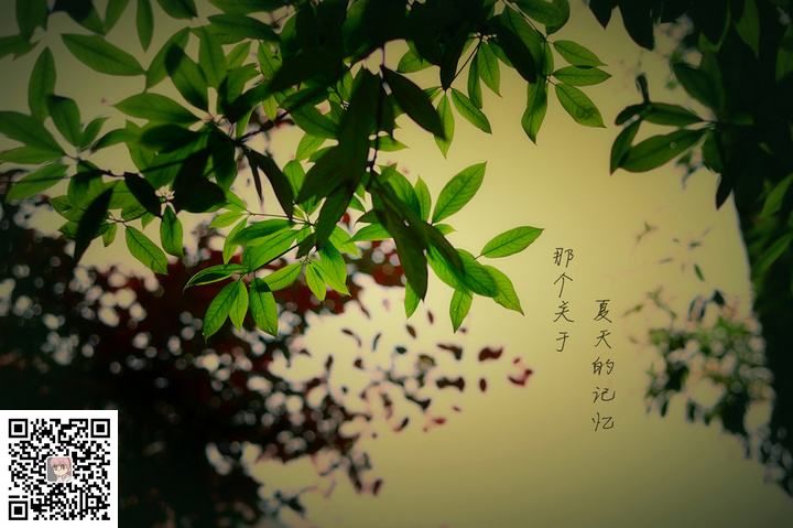 (图2) (图2)