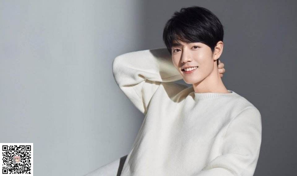 岁岁平安-肖战(图1)