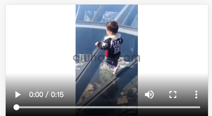 h5自带的 video标签禁止下载按钮教程(图3)