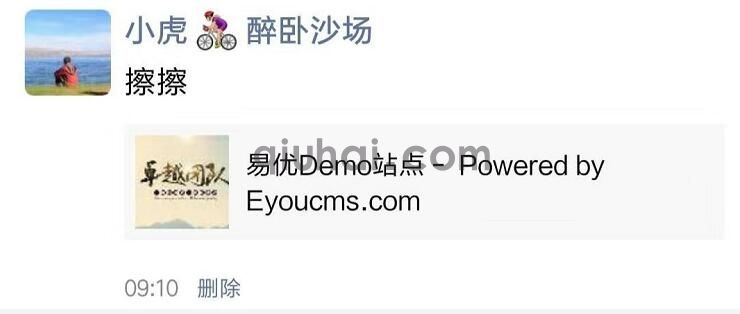 微信分享插件使用指南(图3)