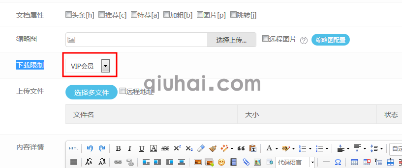 Eyoucms如何设置VIP模式下载(图5)