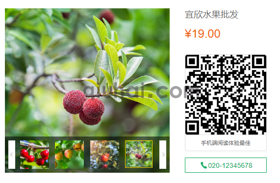 易优显示当前页面二维码插件【eyoucms工具】(图2)